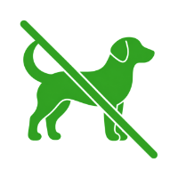 no dogs