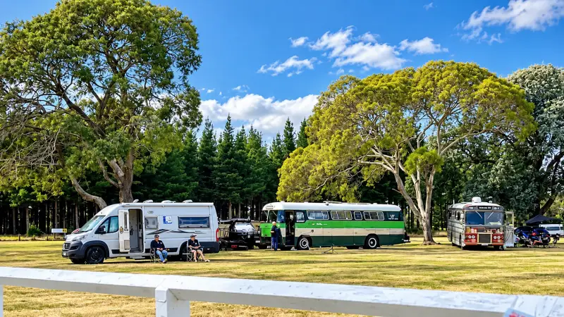 modern motorhome and old bus under trees camping
