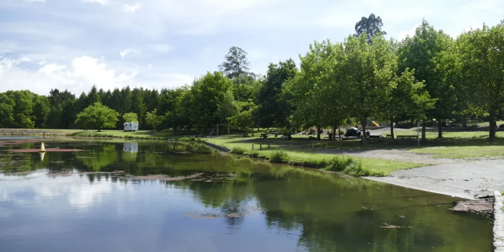 lake aniwaniwa playground area november 2019 12.jpg