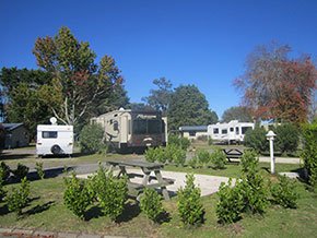 large drive on sites
